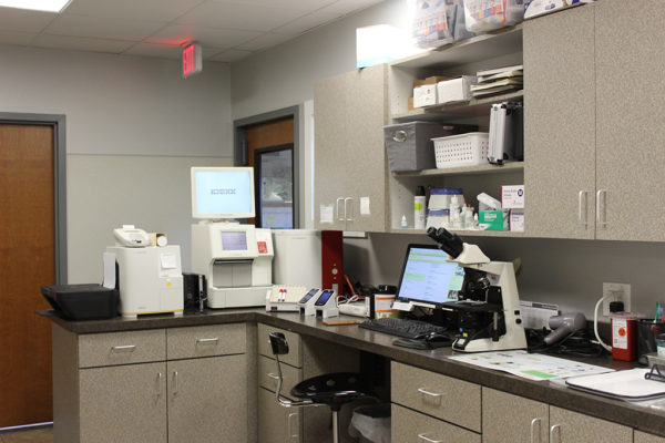 virtual-tour-arlington-animal-hospital-10