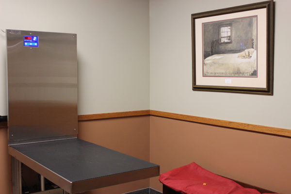 virtual-tour-arlington-animal-hospital-15