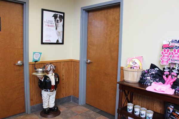 virtual-tour-arlington-animal-hospital-18