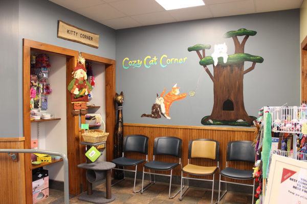 virtual-tour-arlington-animal-hospital-22