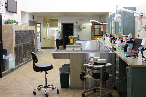 virtual-tour-arlington-animal-hospital-6