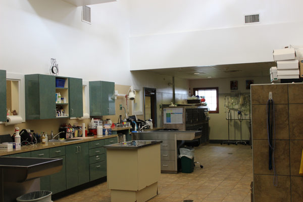 virtual-tour-arlington-animal-hospital-7