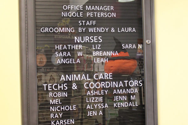 virtual-tour-arlington-animal-hospital-8